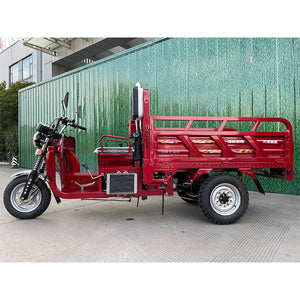 cargo gasoline tricycle
