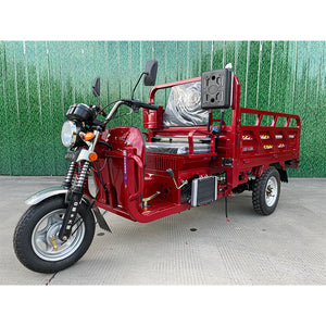 cargo gasoline tricycle